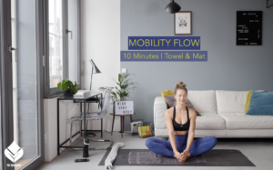 DAY 20 | Mobility Flow